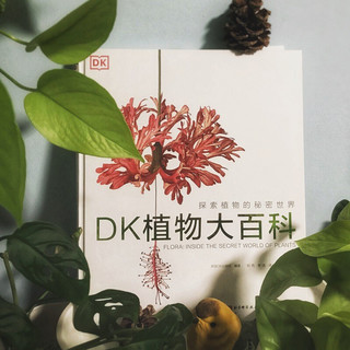 《DK植物大百科·探索植物的秘密世界》（精装）