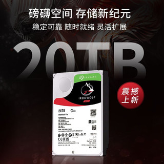 SEAGATE 希捷 ST20000NE000 酷狼PRO NAS硬盘 20TB