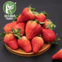 农大腕儿  丹东九九草莓  净重2.8斤