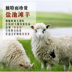 地标产品：京东自营多款盐池滩羊羔羊肉好价（宁鑫、边塞风、西鲜记均有，多方案多部位可选）