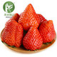 PLUS会员：农大腕儿 丹东奶油牛奶草莓 精选大果 净重2.8斤