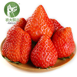 农大腕儿 丹东奶油牛奶草莓 精选大果 净重2.8斤