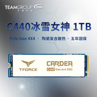 十铨(team)C440冰雪女神 1TB 2TB SSD 高速固态硬盘M.2 nvme协议PCIE 冰雪女神1TB
