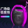 EARISE 雅兰仕 T20 广场舞音响手提灯光音箱便携户外蓝牙音响