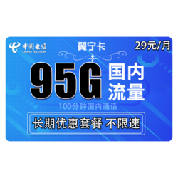 CHINA TELECOM 中国电信 翼宁卡 29元月租（95G全国流量+100分钟）长期套餐 无需每年续期