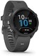 GARMIN 佳明 Garmin Forerunner 245 
运动手表