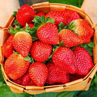 德小鲜 红颜99玫瑰草莓2斤装二级中果(12-18g) 顺丰直达品质保证