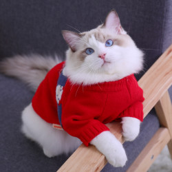 hoopet华元宠具猫咪衣服冬季保暖过年布偶狗狗猫猫防掉毛小猫宠物幼猫
