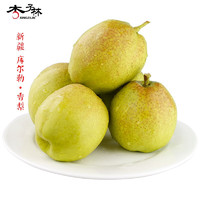 XINGZILIN 杏子林 新疆库尔勒香梨特级果 10斤