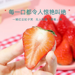 淡雪草莓 大红色 250g*4盒