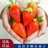 mengzishiliu 蒙自石榴 丹东99红颜草莓礼盒装 3斤大果装
