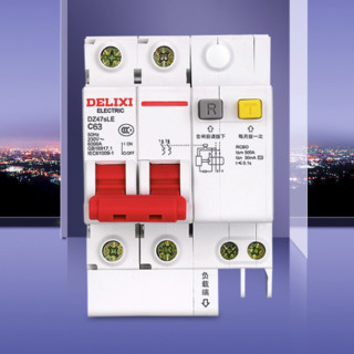 DELIXI 德力西 DZ47SLEN2C63 漏电保护断路器