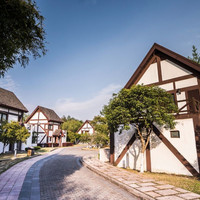 上海太阳岛度假酒店 岛屿豪华房