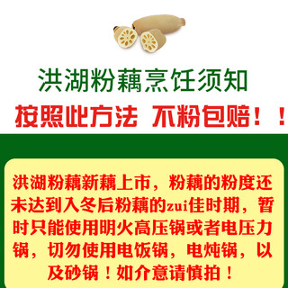 正宗洪湖粉藕莲藕新鲜煲汤现挖粉糯糯米藕湖北特产蔬菜5斤包邮3