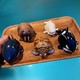 盲盒控：Animal Planet 动物星球 心宽体胖系列 第四弹 海洋篇盲盒