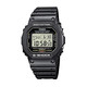 CASIO 卡西欧 G-SHOCK系列 男士石英腕表 DW-5600E-1V