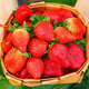 德小鲜 大凉山冬草莓 2斤中果(12-18g) 品质保证 顺丰空运