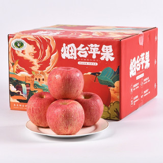 PLUS会员：山东烟台栖霞红富士苹果 精选大果礼盒 净重8.5-9斤