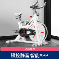 ENTESI 健身自行车室内运动无极变速动感单车脚踏车超静音家用健身器材