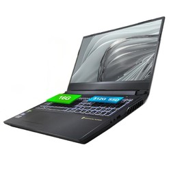TERRANS FORCE 未来人类 15.6英寸游戏笔记本电脑（R5-5600X、16GB、512GB、RTX3070）