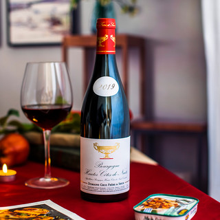 葛罗兄妹大金杯 法国勃艮第产区上夜丘村级黑皮诺干红葡萄酒750ml