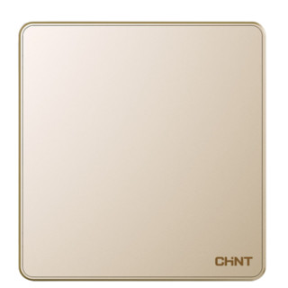 CHNT 正泰 NEW6-W95102 空白面板 香槟金