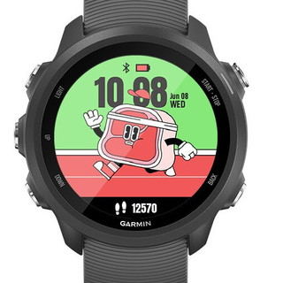 GARMIN 佳明 Forerunner245 运动手表 神秘灰 42.3mm 蓝牙版