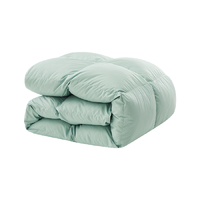 YANXUAN 网易严选 TEC-warm 白鹅绒冬被 湖绿+灰 220*240cm