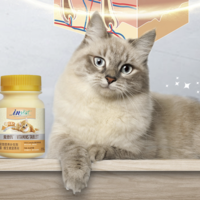 麦德氏 IN-KAT 猫咪牛磺酸活力片约120片 猫咪补充能量猫用保健品 维生素片60