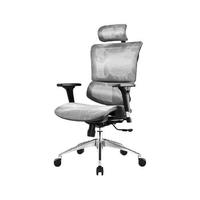 SITZONE DS-001A1 人体工学电脑椅 银色 标准款