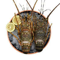 嘉麟乐 青龙虾 1-2只 450-550g