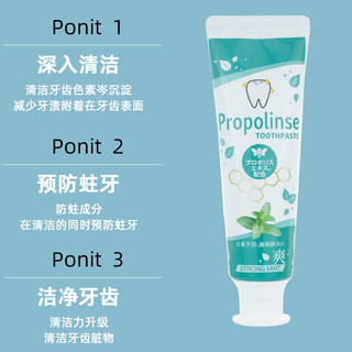 Propolinse 比那氏蜂胶薄荷牙膏120g 日本进口清新口气淡化牙渍防蛀清洁口腔牙齿