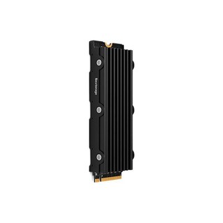 Nextorage NEM-PA系列 NVME M.2 固态硬盘 4TB (PCI-E4.0) NEM-PA4TB