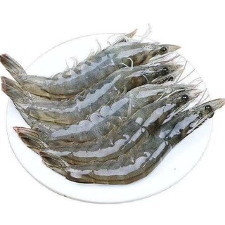 沃鲜汇 青虾 单只11-13cm 2kg