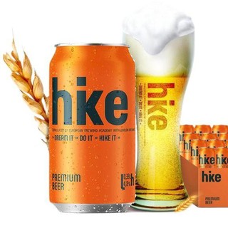 Hike 海客 嗨的时间 原浆精酿果啤酒 500ml*24罐