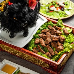 北京亚运村店 格拉丹东主题餐厅 2-3人藏餐+藏服体验