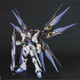 BANDAI 万代 PG 1/60 SEED Strike Freedom 强袭自由 高达 模型