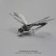优迭尔 DIY立体金属拼图 蜻蜓