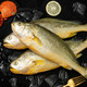 国产大黄鱼 5斤（4-6条）