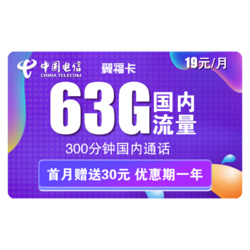 CHINA TELECOM 中国电信 翼福卡 每月19包63G全国流量+300分钟