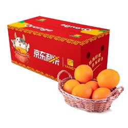 京觅 赣南脐橙 铂金果 净含量2.85kg（单果150g起）