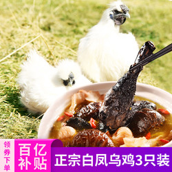 xiaohanhuo 小憨货 乌鸡 新鲜现杀月子鸡 乌骨鸡肉 生鲜 整鸡 乌鸡3只  共重3斤(单只450g以上)