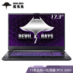 TERRANS FORCE 未来人类 DR722 17.3英寸144Hz屏笔记本(i7-11800H 16G 512G PCIe SSD RTX 3060Laptop )