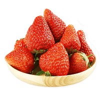 PLUS会员：大头小胖 大凉山奶油草莓 红颜草莓 3斤（单果8-12克）