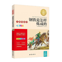 《钢铁是怎样炼成的》（注音彩绘版、有声版）