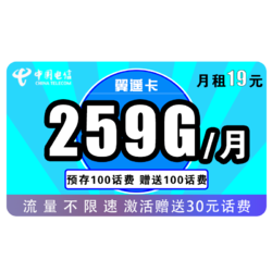 CHINA TELECOM 中国电信 翼遥卡 每月19包29G通用流量+230G专属流量