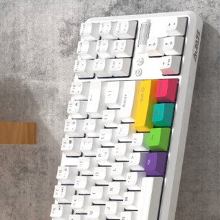 AJAZZ 黑爵 K870T 87键 蓝牙双模机械键盘 白色 热拔插红轴 RGB