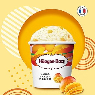 Häagen·Dazs 哈根达斯 芒果冰淇淋 81g