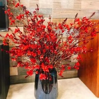 艺狮 红梅腊梅带花苞 40-60cm  中国红40支