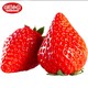 PLUS会员：甜莓小康 丹东特产奶油牛奶草莓 净重2.8斤
